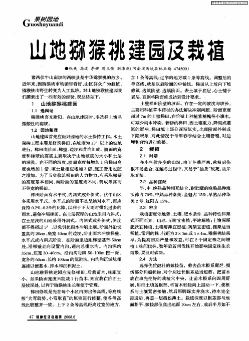山地猕猴桃建园及栽植