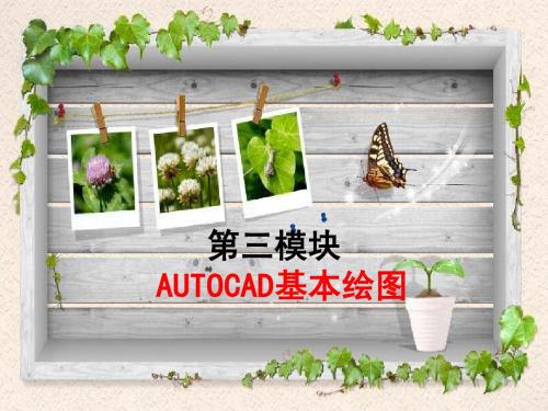 AUTO绘图