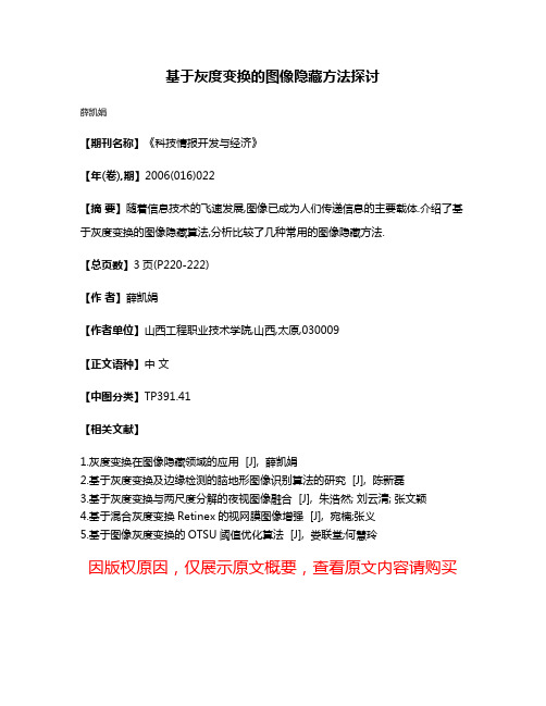 基于灰度变换的图像隐藏方法探讨