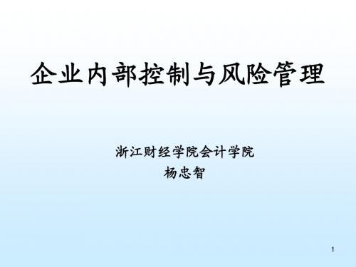 高级会计师讲座--企业内部控制与风险管理