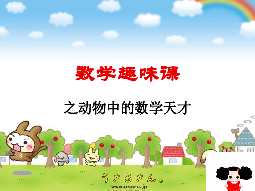动物中的数学天才.ppt