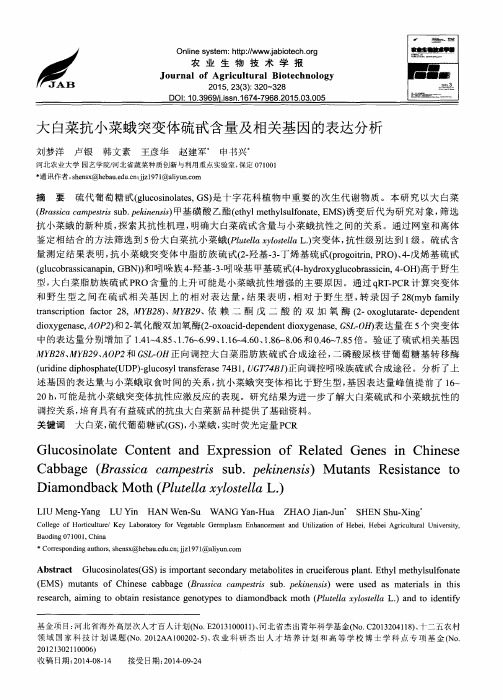大白菜抗小菜蛾突变体硫甙含量及相关基因的表达分析