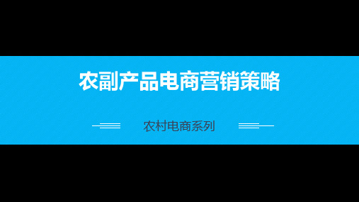 农产品电商营销策略PPT课件