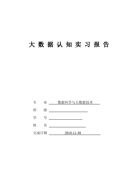 大数据专业实习报告