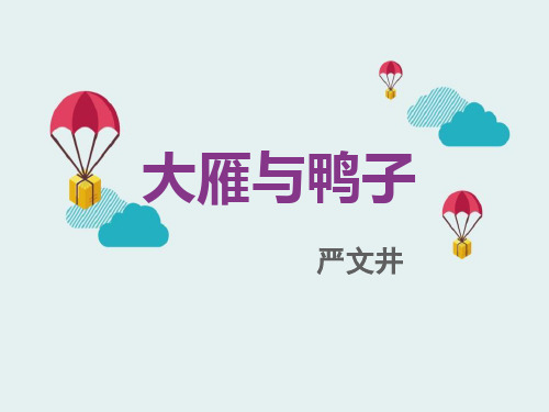 《大雁与鸭子》课件完美版