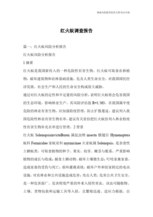 红火蚁调查报告