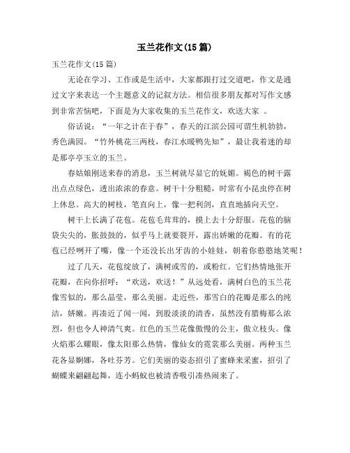 玉兰花作文(15篇)