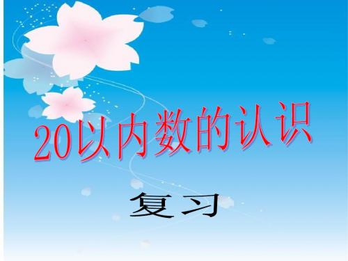 20以内的复习