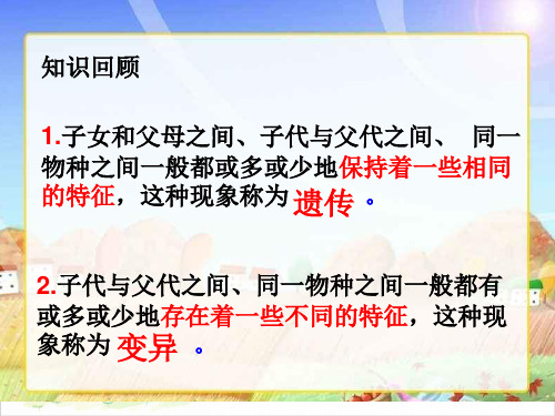 六年级下册科学-寻找遗传与变异的秘密优秀课件苏教版2