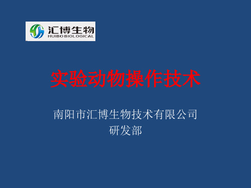 动物实验操作要领