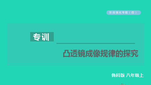八年级物理上册第四章透镜及其应用阶段强化专题四专训凸透镜成像规律的探究习题课件鲁科版五四制ppt