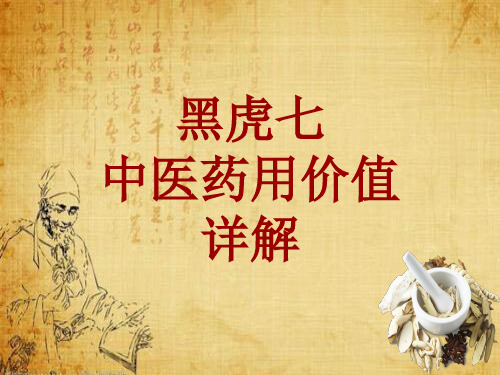 中药学_黑虎七_药材详解课件模板