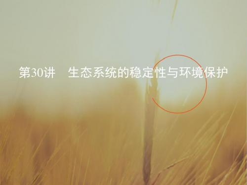 2019版高考生物北京专用一轮课件：第30讲 生态系统的