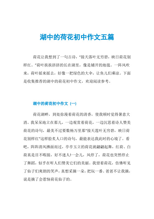 湖中的荷花初中作文五篇