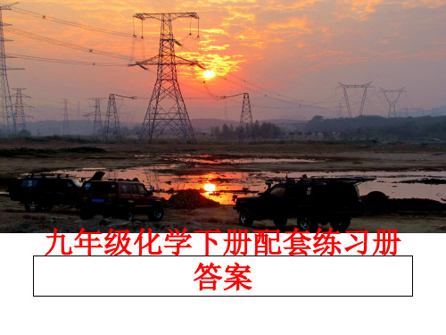 最新九年级化学下册配套练习册答案