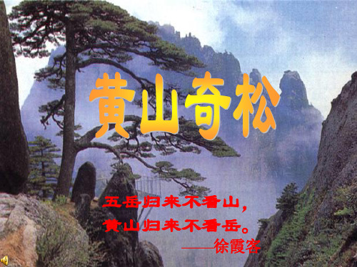 黄山奇松 (2)