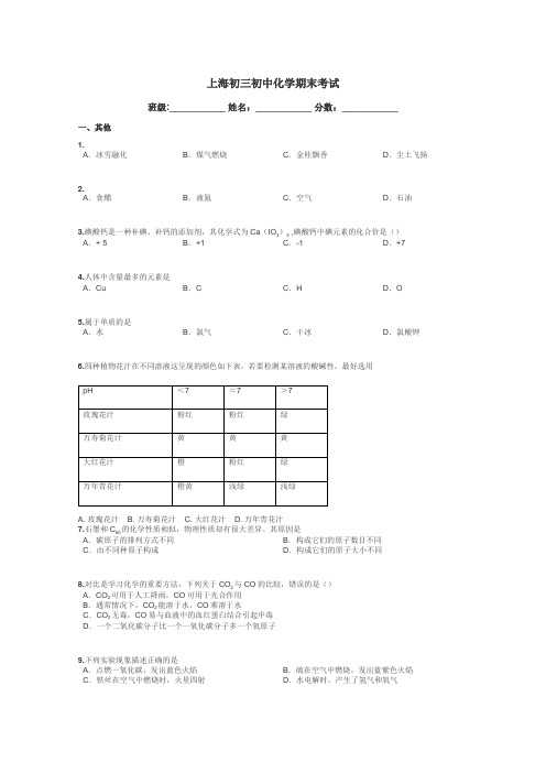 上海初三初中化学期末考试带答案解析
