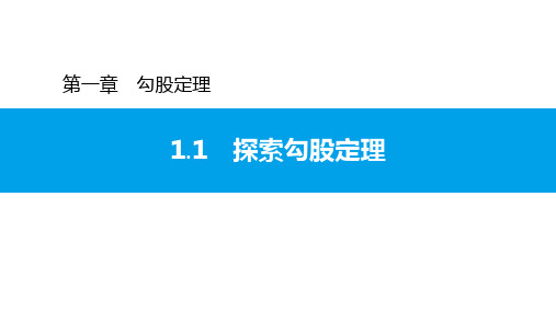 1.1 探索勾股定理-北师大版八年级数学上册习题课件(共19张PPT)