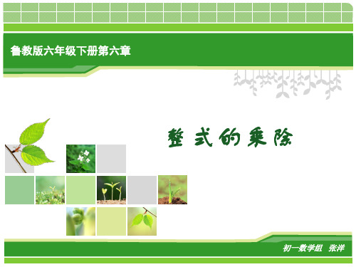 整式的乘除单元说课(鲁教版)