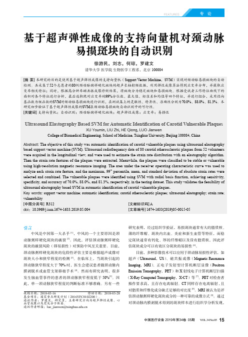 基于超声弹性成像的支持向量机对颈动脉易损斑块的自动识别