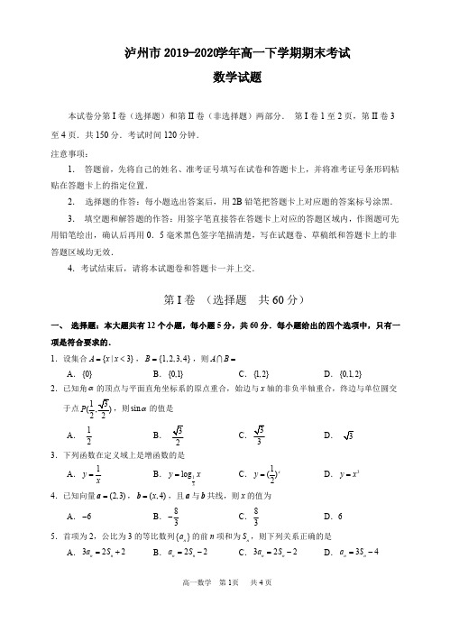 泸州市2019-2020学年高一下期末考试数学试题(含答案)