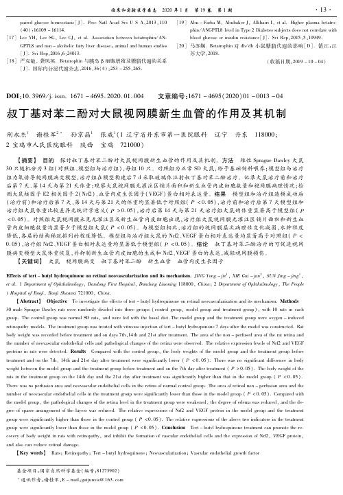 叔丁基对苯二酚对大鼠视网膜新生血管的作用及其机制