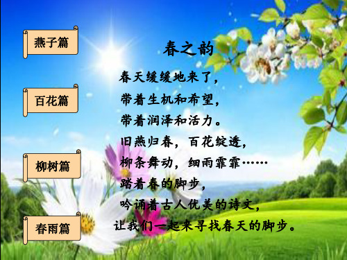 一年级下册语文课件-课文1 古诗二首：春晓｜语文版(2016)(共32张PPT)