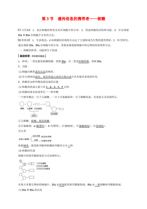 2021--2022学年 人教版   必修一  遗传信息的携带者——核酸 教案