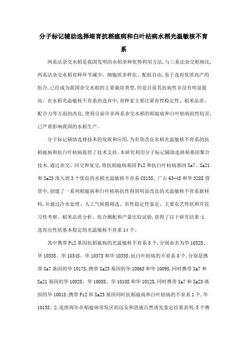分子标记辅助选择培育抗稻瘟病和白叶枯病水稻光温敏核不育系