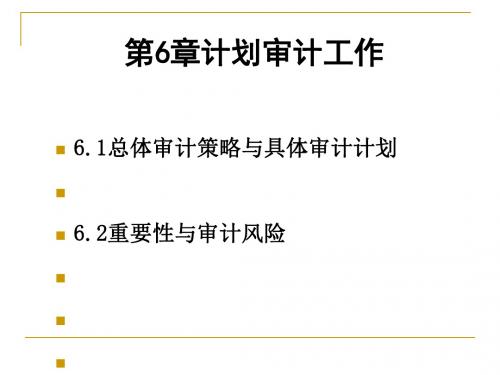 计划审计工作概述(PPT 56张)