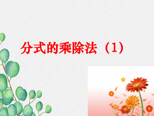 《分式的乘除》PPT课件 (同课异构)2022年苏科版 (3)