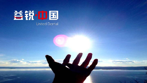益锐-机用根管锉的使用ppt课件