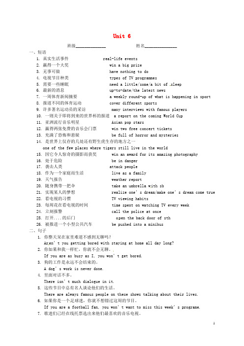 江苏省永丰初级中学九年级英语上册 Unit 6 TV programmes复习提纲 (新版)牛津版