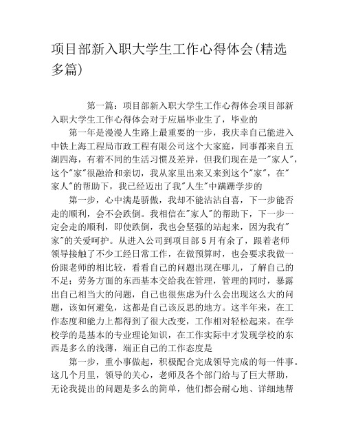 项目部新入职大学生工作心得体会(精选多篇)