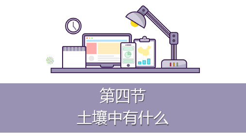 五年级上册科学-土壤中有什么教科版(12张ppt)公开课课件