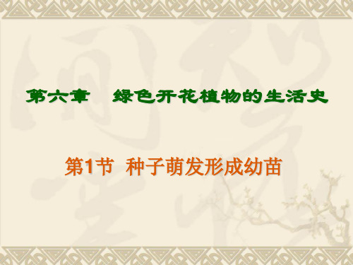 种子萌发形成幼苗2.PPT课件