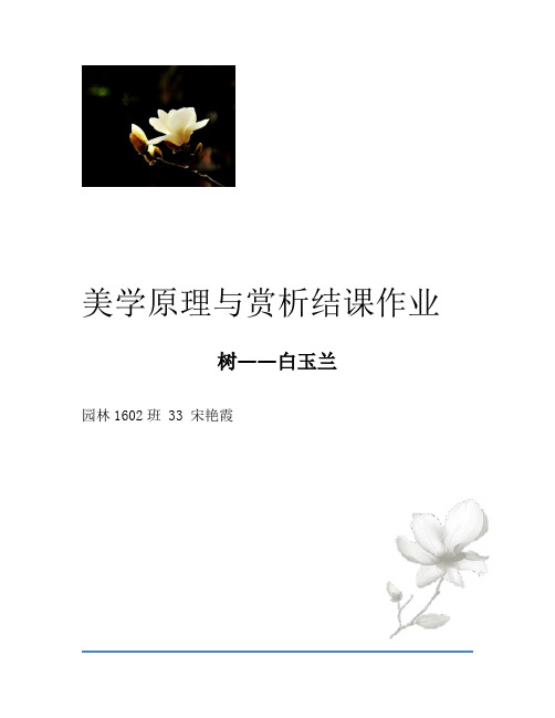美学原理与赏析结课作业