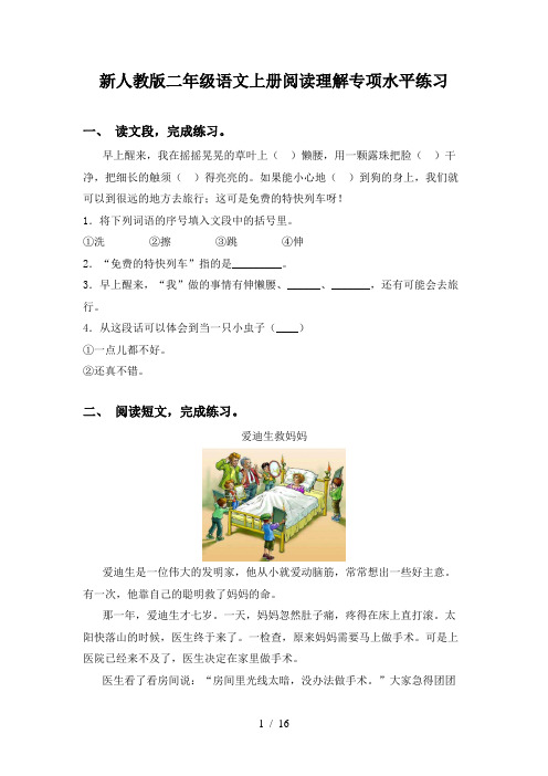 新人教版二年级语文上册阅读理解专项水平练习