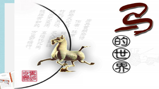 七年级语文下册(人教版)马世界的综合ppt课件