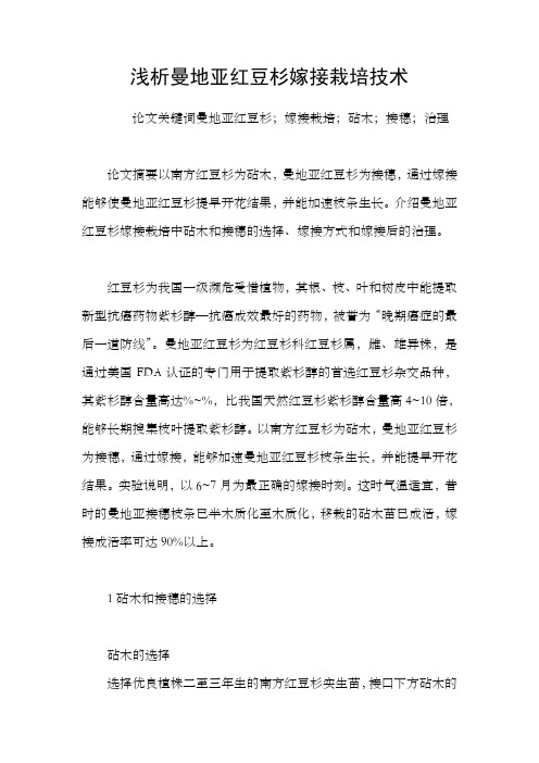 浅析曼地亚红豆杉嫁接栽培技术
