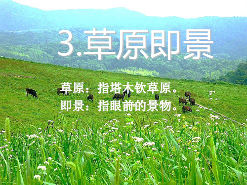 《草原即景》PPT课件2 (共14张PPT)