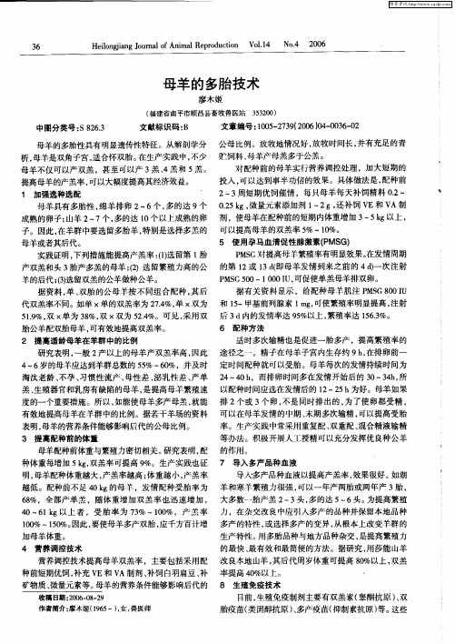 母羊的多胎技术
