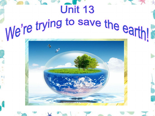 新目标九年级Unit 13 We're trying to save the earth  Section B 1a-1e