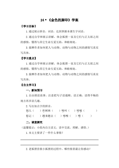 六年级上册语文导学案- 24  金色的脚印   (含答案)-人教新课标