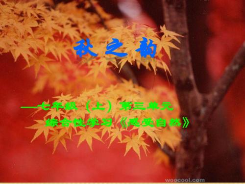 综合性学习-感受自然