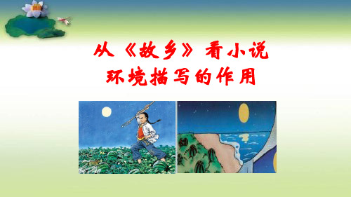 故乡  初中九年级语文教学课件PPT 人教版
