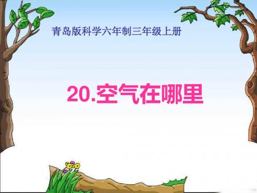 最新文档-三年级上册科学课件-20《空气在哪里》∣青岛版(六年制)(共15张PPT)-PPT精品文档