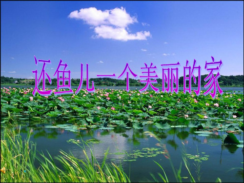 大象版科学四年级上册 还鱼儿一个美丽的家PPT优选课件
