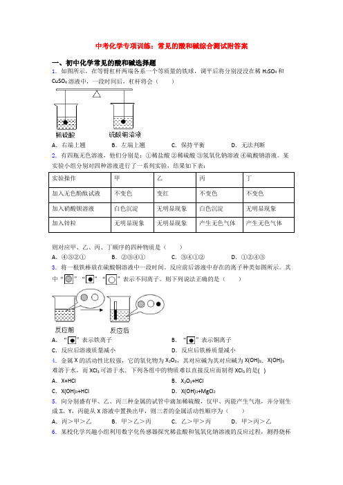 中考化学专项训练：常见的酸和碱综合测试附答案