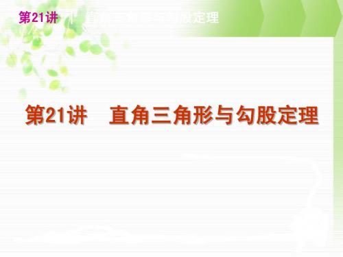 第21讲 直角三角形与勾股定理